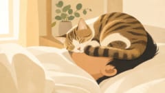 なぜネコは飼い主の上で眠るのかーー科学的理由を解説の画像 3/3