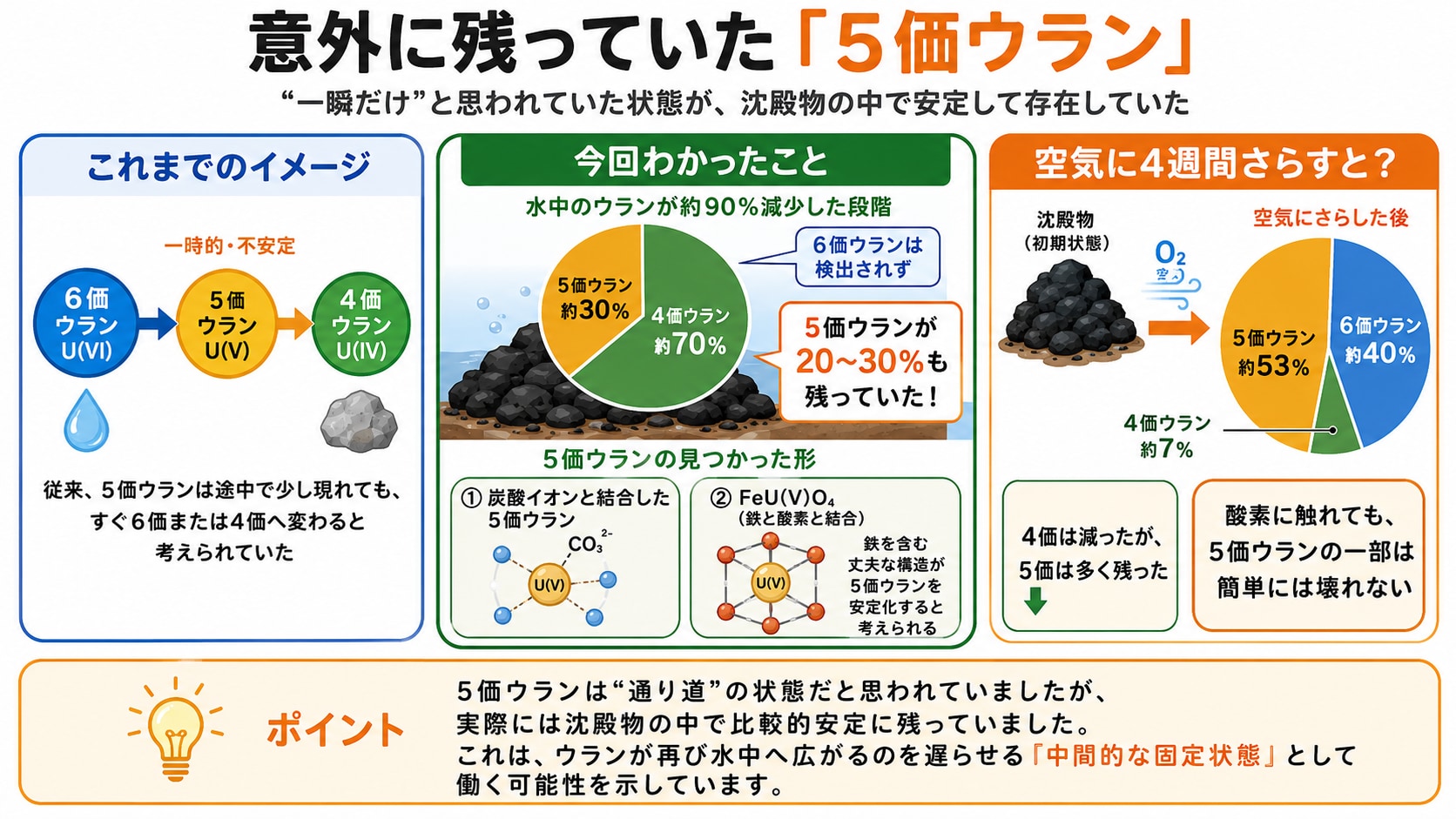 水に溶けたウランを「固体化」させる細菌の能力を新発見の画像 3/3