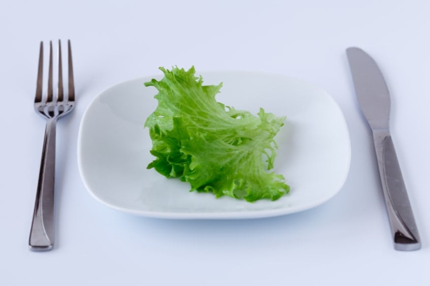 レタスに「肉のタンパク質」を作らせることに初成功