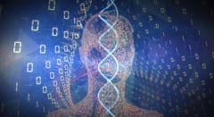 現代人のDNAに「幽霊の祖先」2系統――1つは世界中の集団に残っていたの画像 6/7