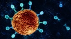抗生物質のあとの世界へ