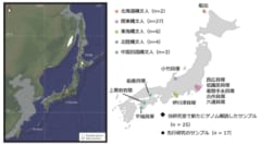 縄文人の先祖に起きた急激な進化