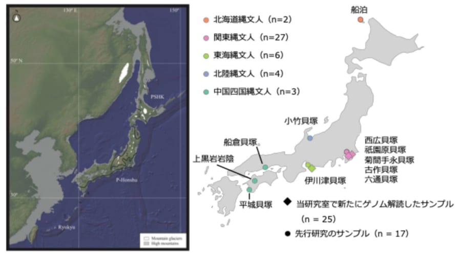 縄文人の先祖に起きた急激な進化