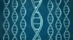 幽霊DNAの1つは全員が持っていた