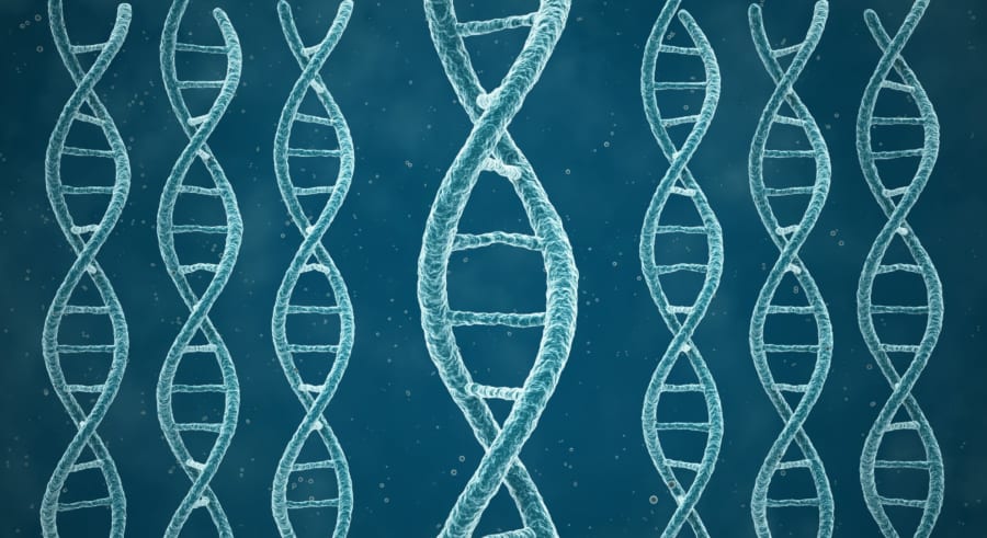 幽霊DNAの1つは全員が持っていた