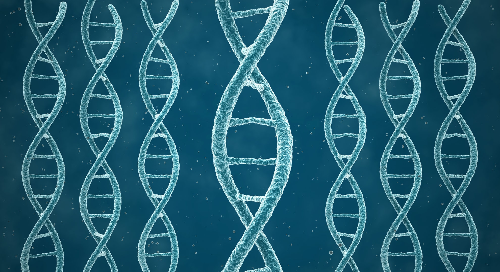 幽霊DNAの1つは全員が持っていた
