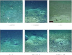 南極の海底に隠されていた「魚の帝国」を発見の画像 3/3