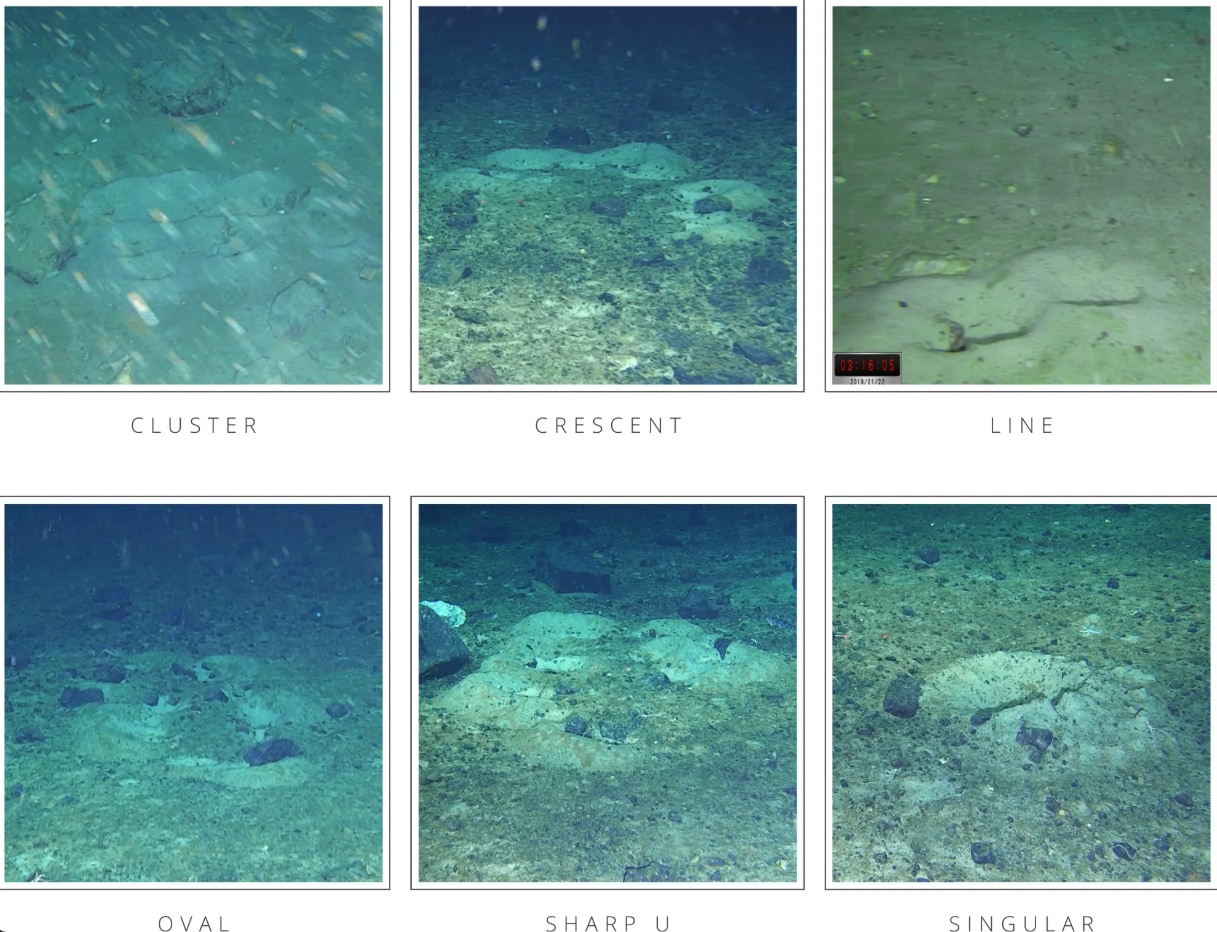 南極の海底に隠されていた「魚の帝国」を発見の画像 3/3