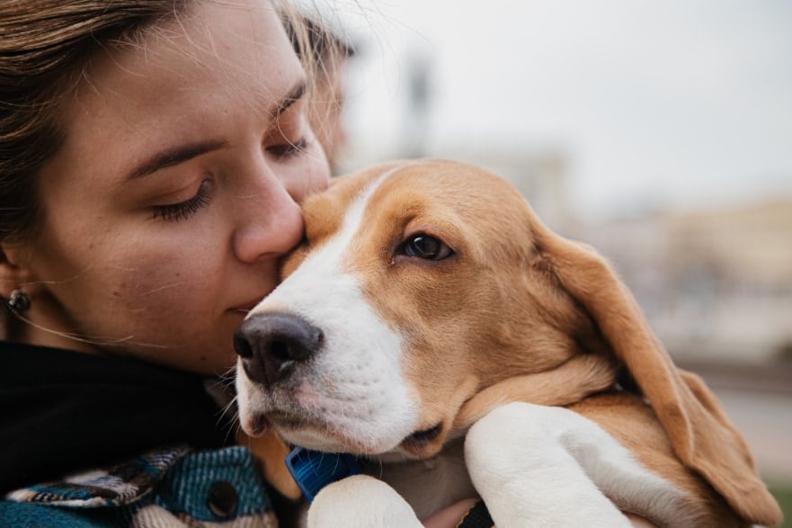 犬の脳は人間の「恐怖」と「悲しみ」を区別していた