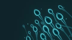 なぜ精子はチーム戦をするようになったのか？