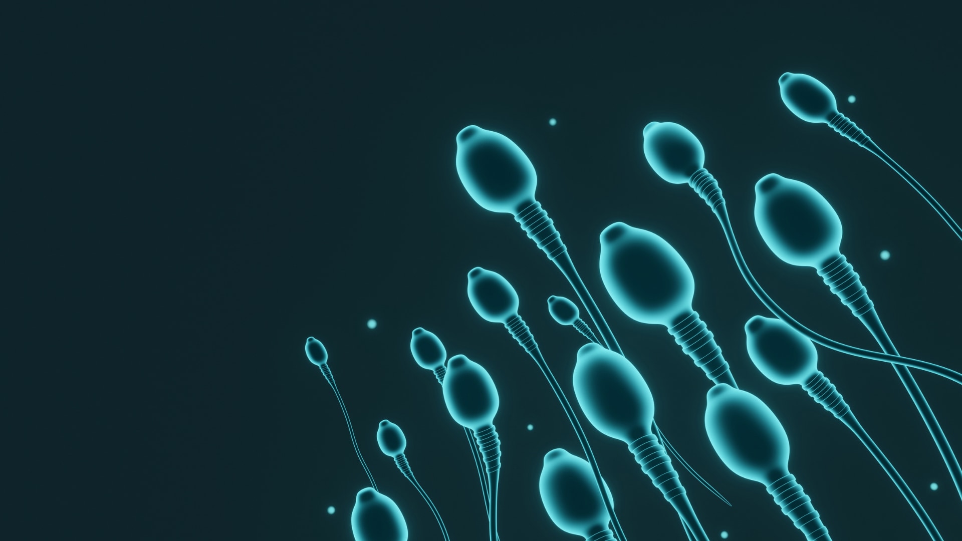 なぜ精子はチーム戦をするようになったのか？