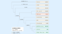 「2つの種」は5億年以上受け継がれてきた