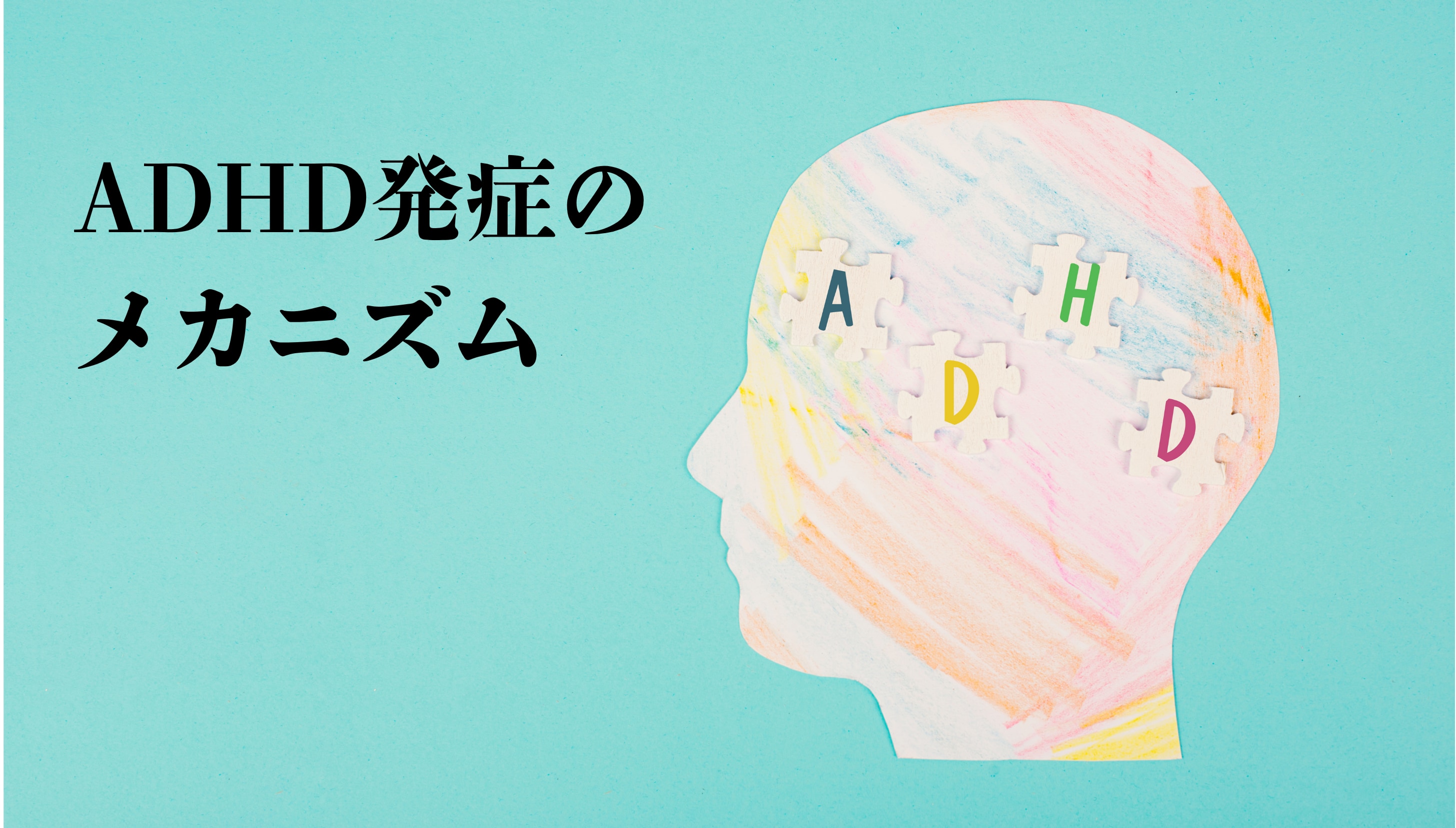 ADHD発症のメカニズム