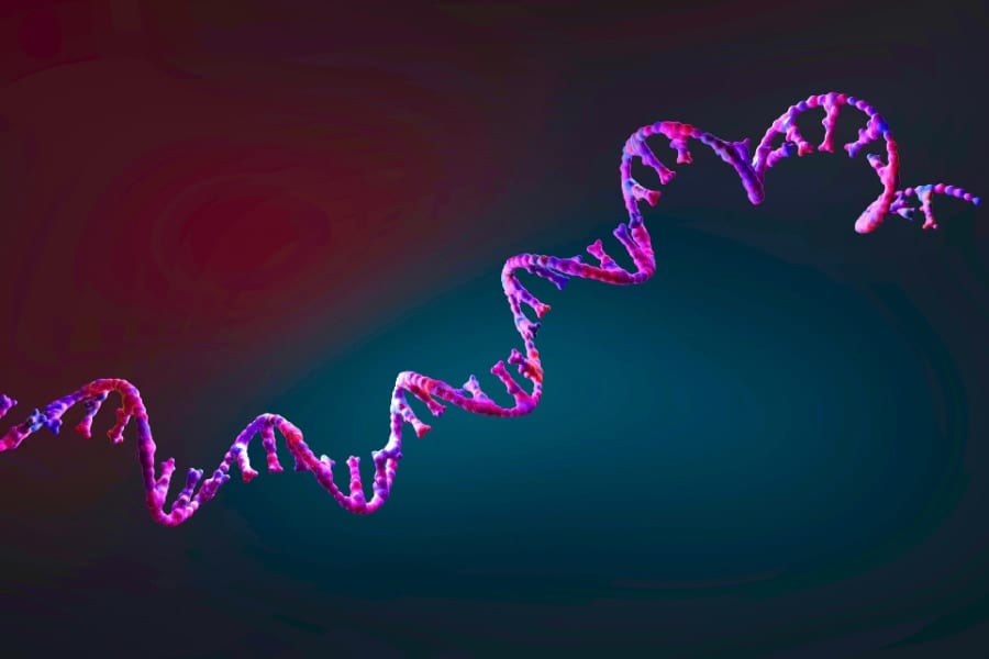 「RNAワールド」の始まりが特定された――約43億3000万年前と結論