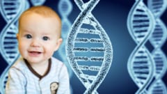家計への支援が、子供の身体に残した差