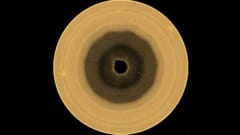 土星の南極に「十角形」が出現しつつある――1辺が地球に匹敵