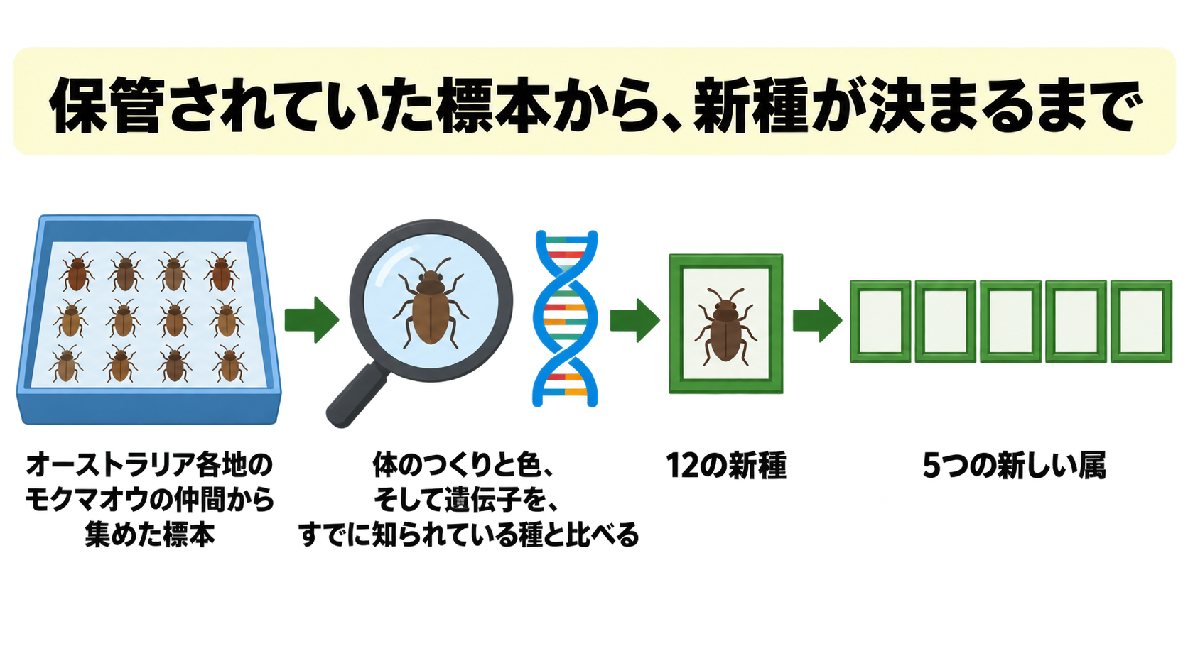 c105-fig-s2の画像