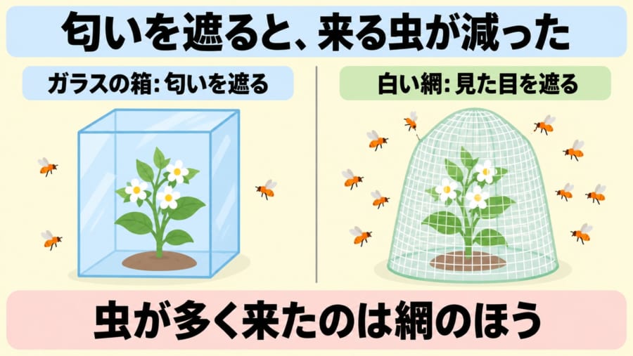 匂いを遮ると、来る虫が減った