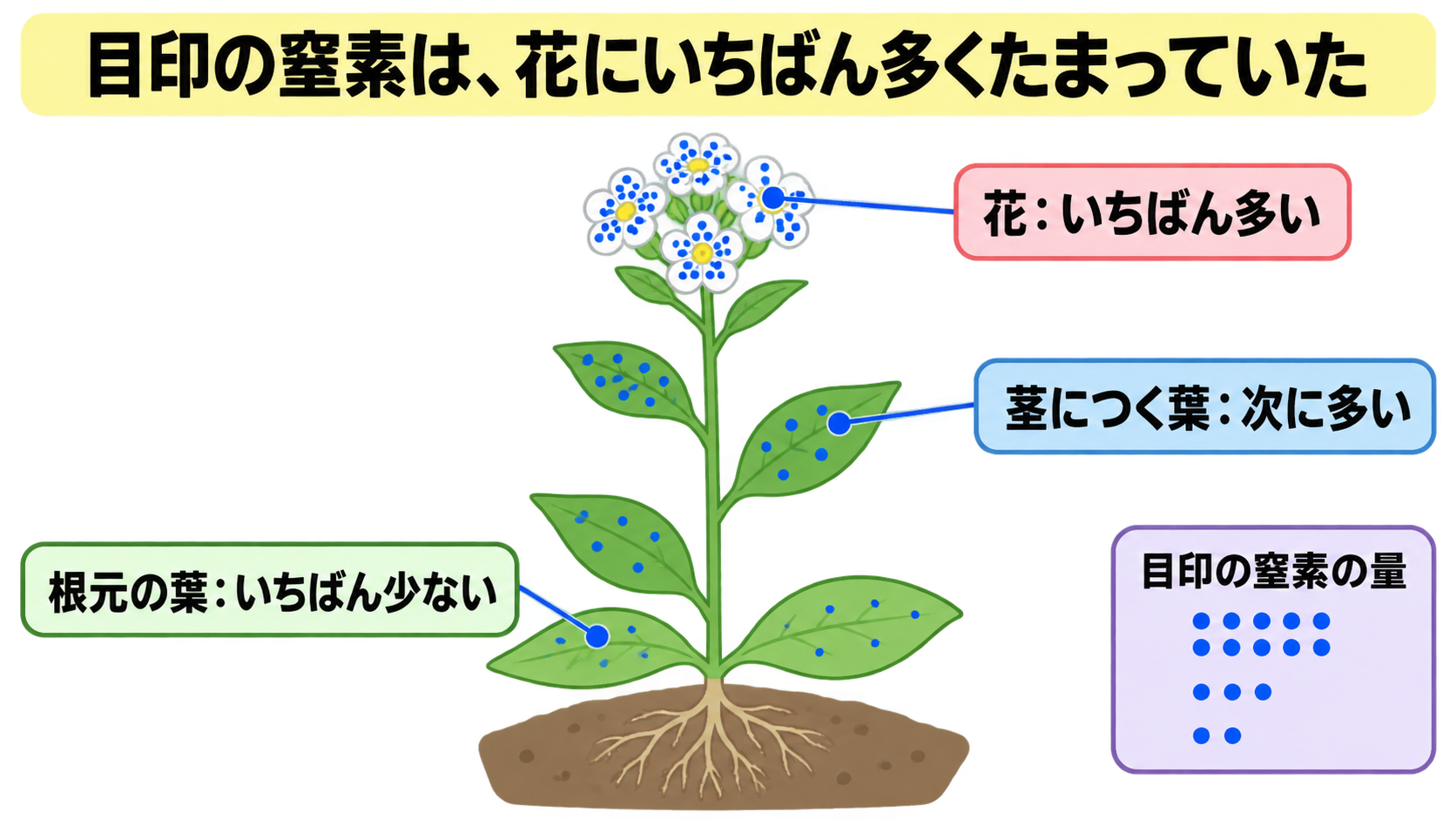 c233-fig-s2cの画像