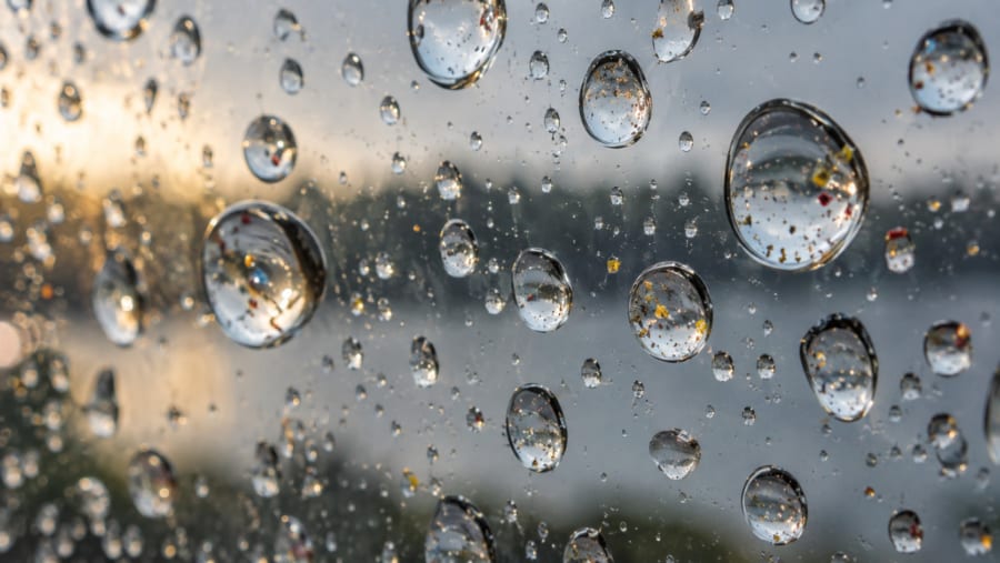 スイスの土や水に年間200トン超の微小プラスチックが降る