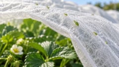 アブラムシは通さず、風と水は通す布