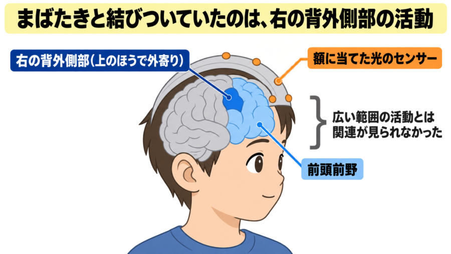 まばたきはなぜ「頭の切り替え」と結びつくのか