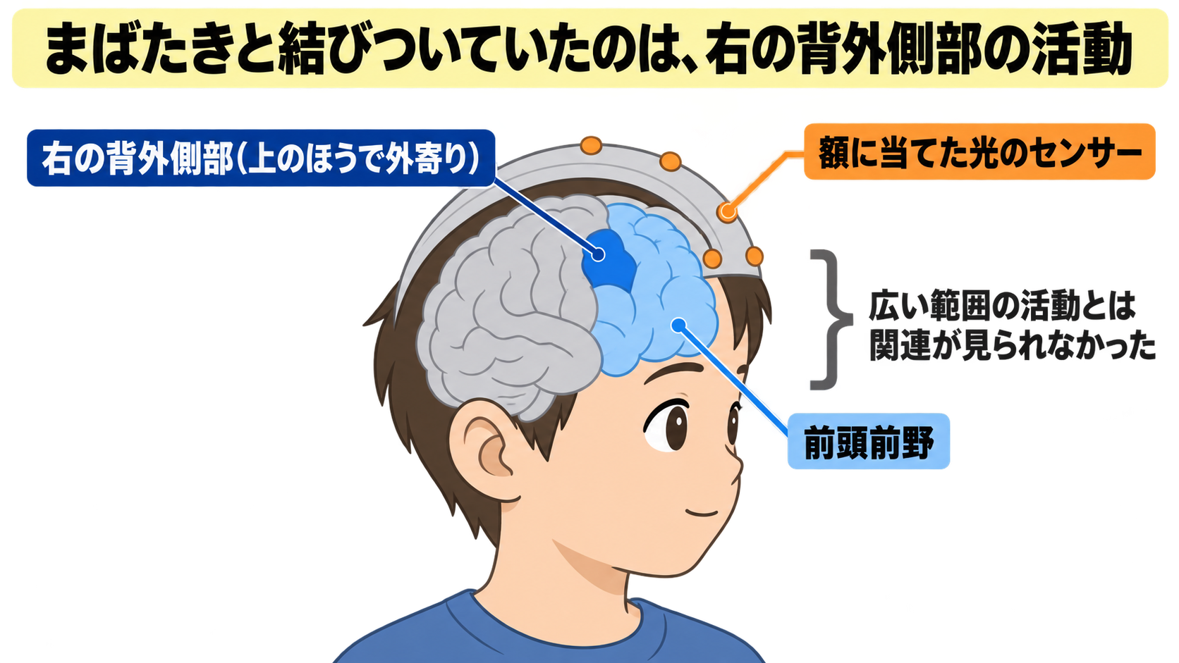 c485-fig-s2の画像
