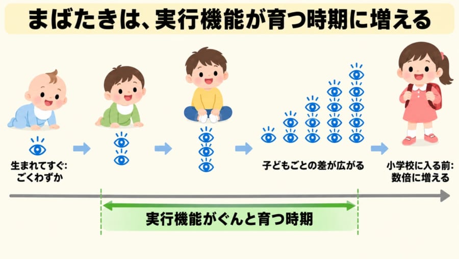 まばたきは、実行機能が育つ時期に増える