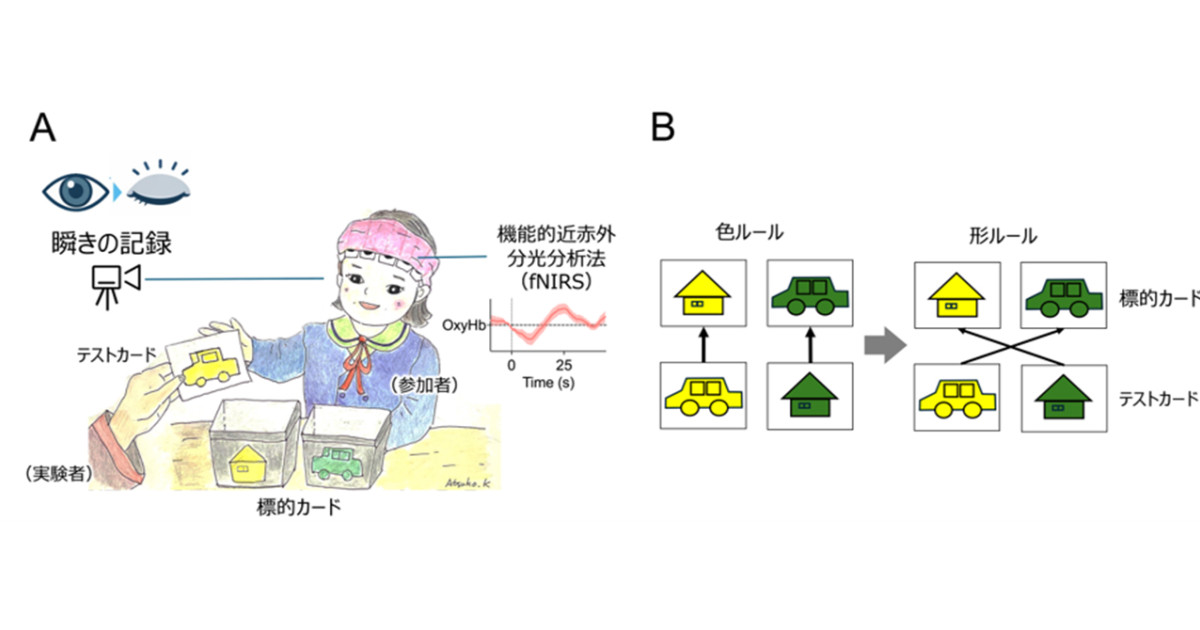 「よくまばたきする子」ほど頭の切り替えが上手な傾向、幼児のカード分け課題と脳の活動で判明