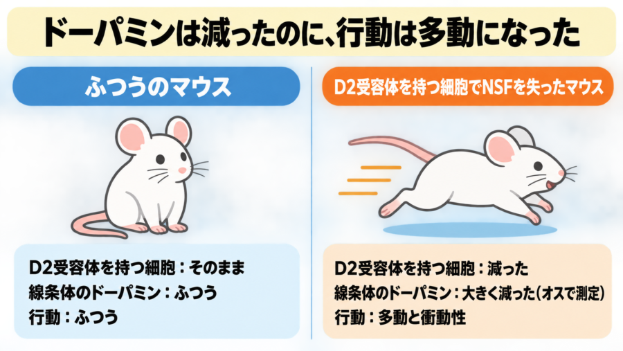 ドーパミンが「減っている」のに動き回るマウス
