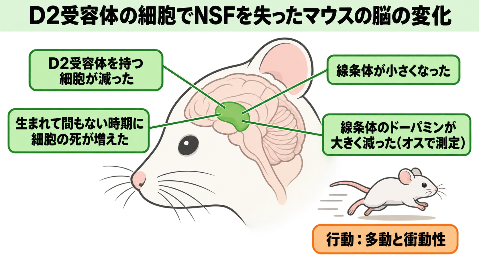 ct_sensei-0917-1-fig-s1bの画像