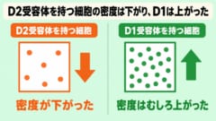 「薬が効きにくい人」のADHDと、どうつながるのか