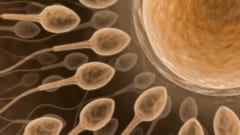 「一番速い精子が勝つ」と習ったはずだった