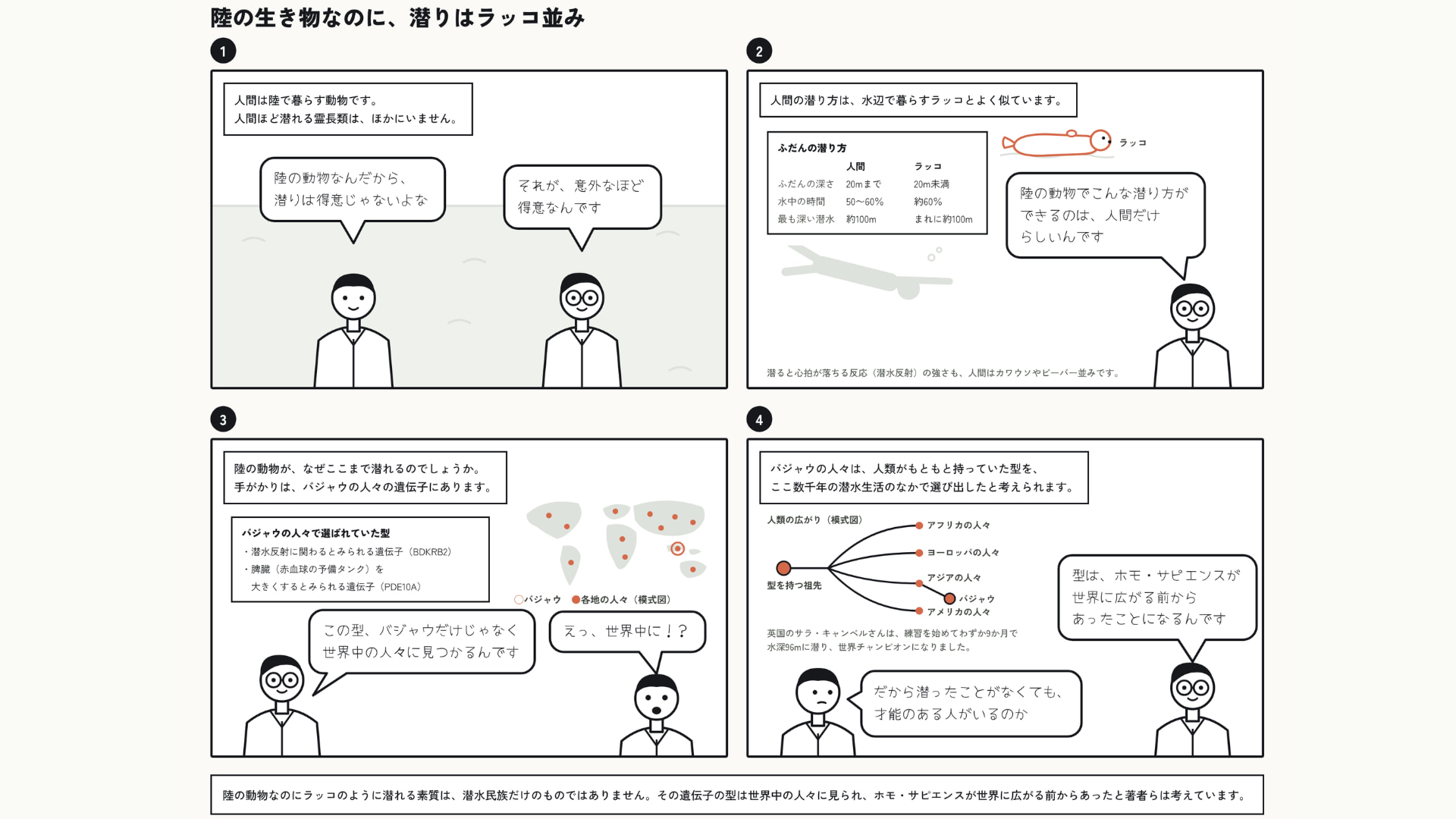 食べ物を採る素潜りは、長距離走と同じ力で支えられている
