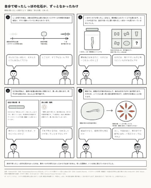 トカゲが切り落としたしっぽの化石は、これまで一つもなかった