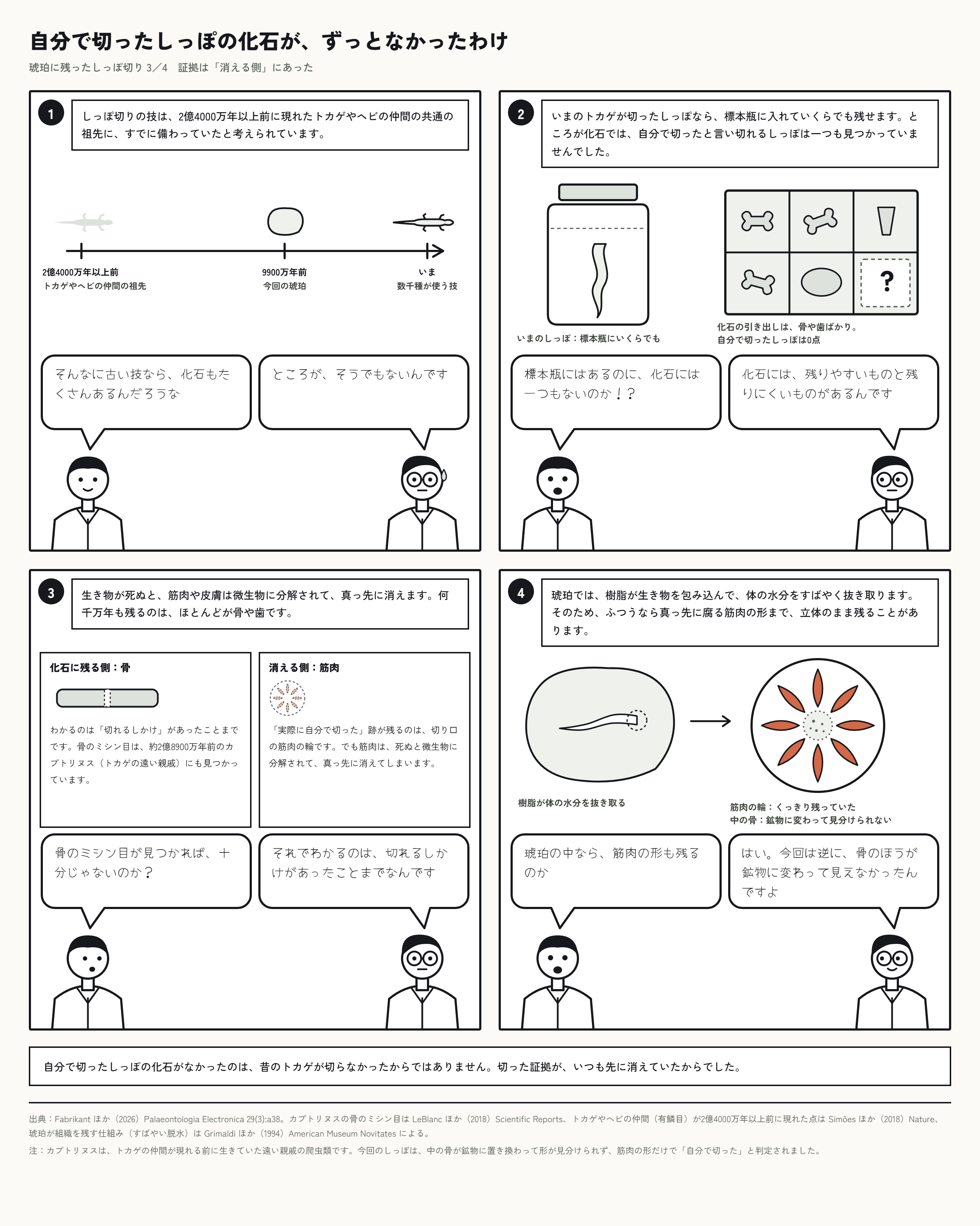 トカゲが切り落としたしっぽの化石は、これまで一つもなかった