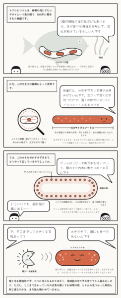 人間の腸にも「巨大細菌」が潜んでいる可能性がある