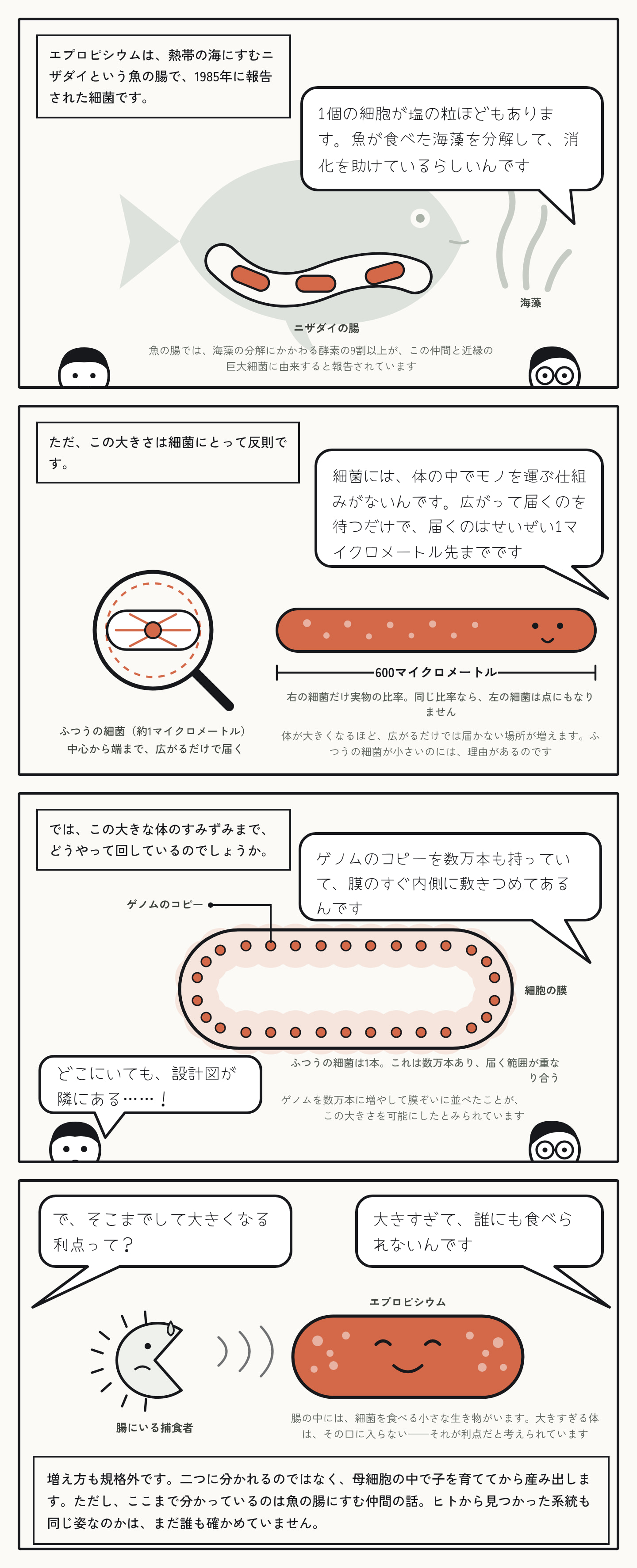人間の腸にも「巨大細菌」が潜んでいる可能性がある
