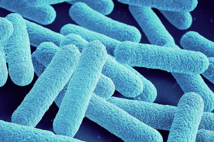 抗生物質と甘いものは腸内細菌に「悪い食べ合わせ」――病院で勧められるスポーツドリンクも