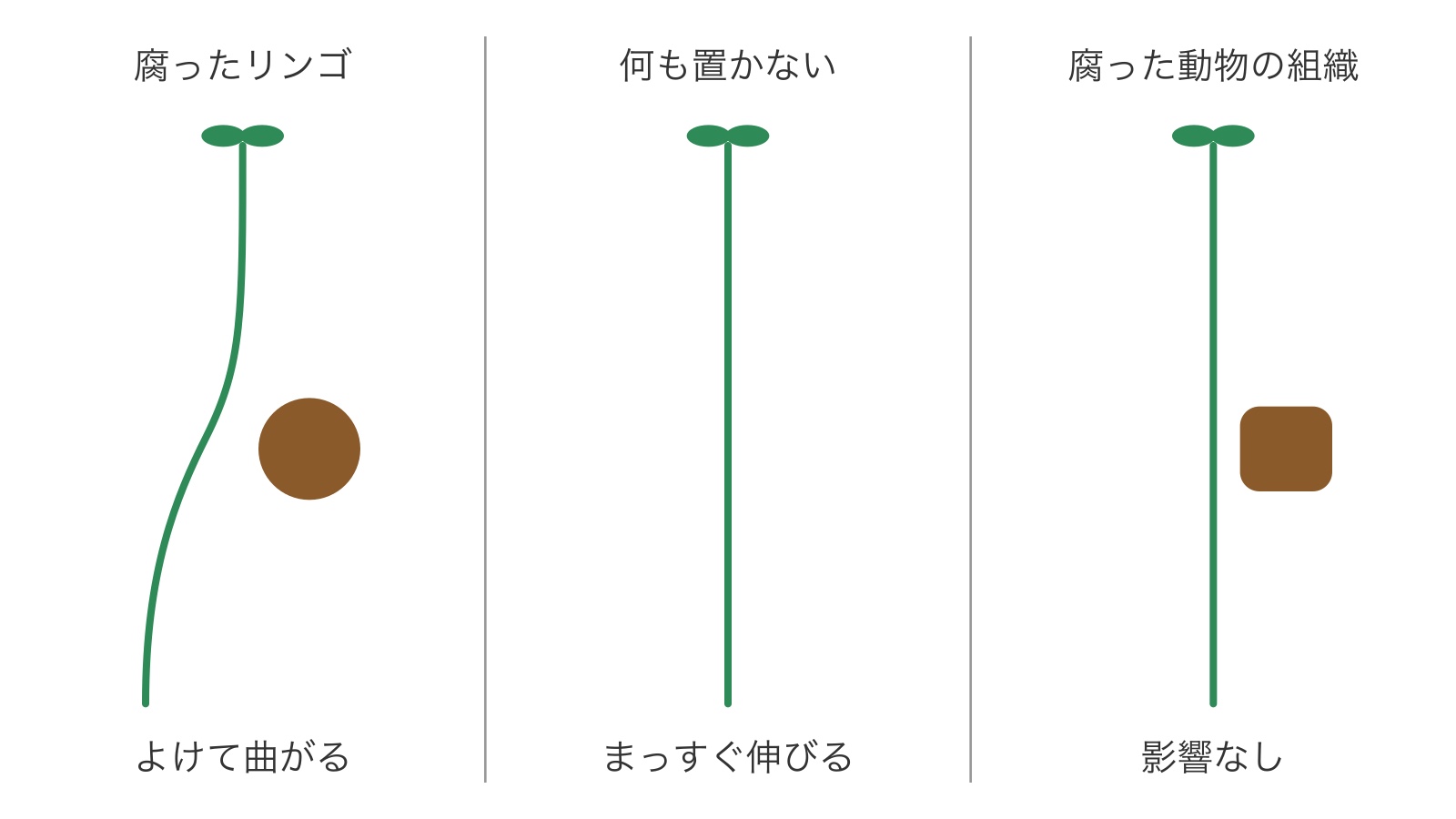 c230-fig-b3の画像