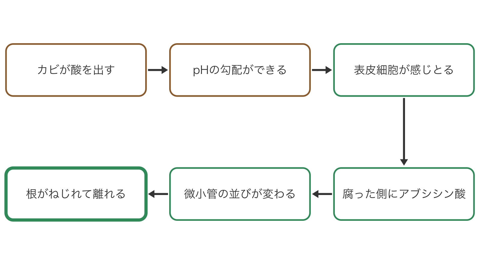 c230-fig-b6の画像