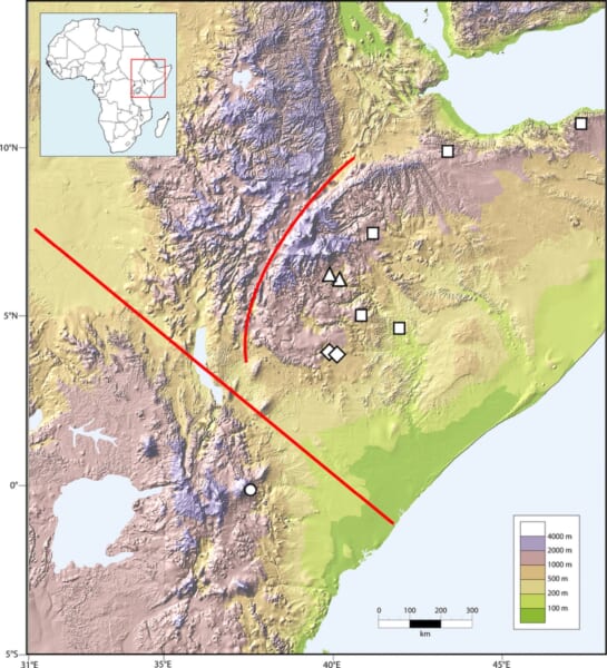 遺伝子を調べたサンプルが採集された場所の地図です。三角が新種のタマゴヘビ、丸がアトラ種を表します。