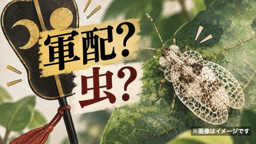 名前に相撲の「軍配」をもつ虫、小笠原諸島で新種を発見