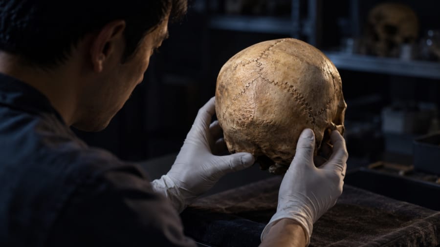 3000年前の頭蓋骨に残っていた「赤ちゃん時代の跡」とは?