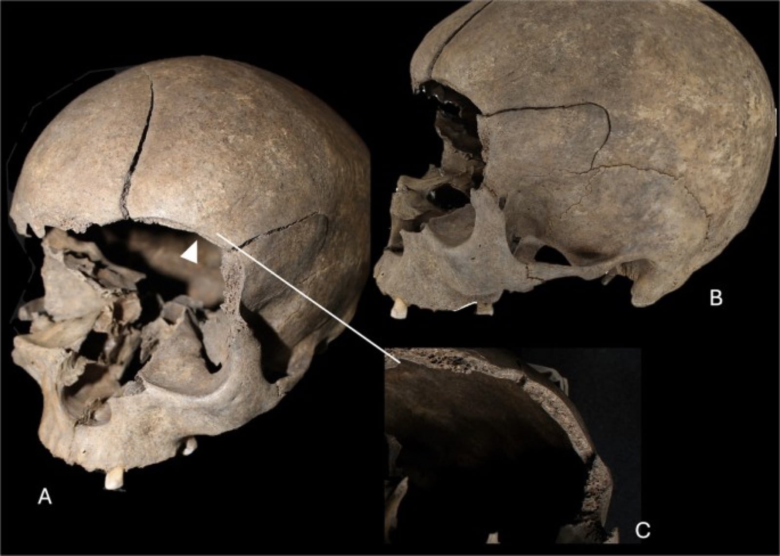 バイキングの暴力を物語る「家の中の痕跡」を発見