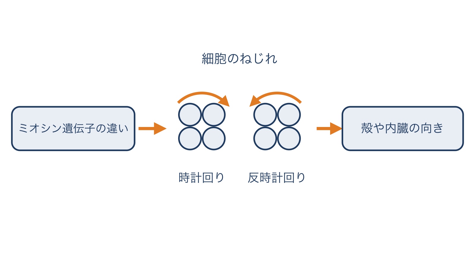 c461-fig-b9の画像