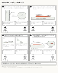 約9900万年前の琥珀に、しっぽを外したときの筋肉の形が残っていた