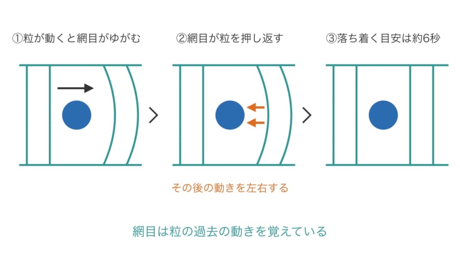 液体の中の網目が粒の動きを覚えるしくみを、3つの場面に分けた図で、網目や粒の形と大きさは正確ではありません。左から順に、粒が動くと網目がゆがみ、ゆがみが粒を押し返し、約6秒を目安に落ち着いていく流れが分かります。