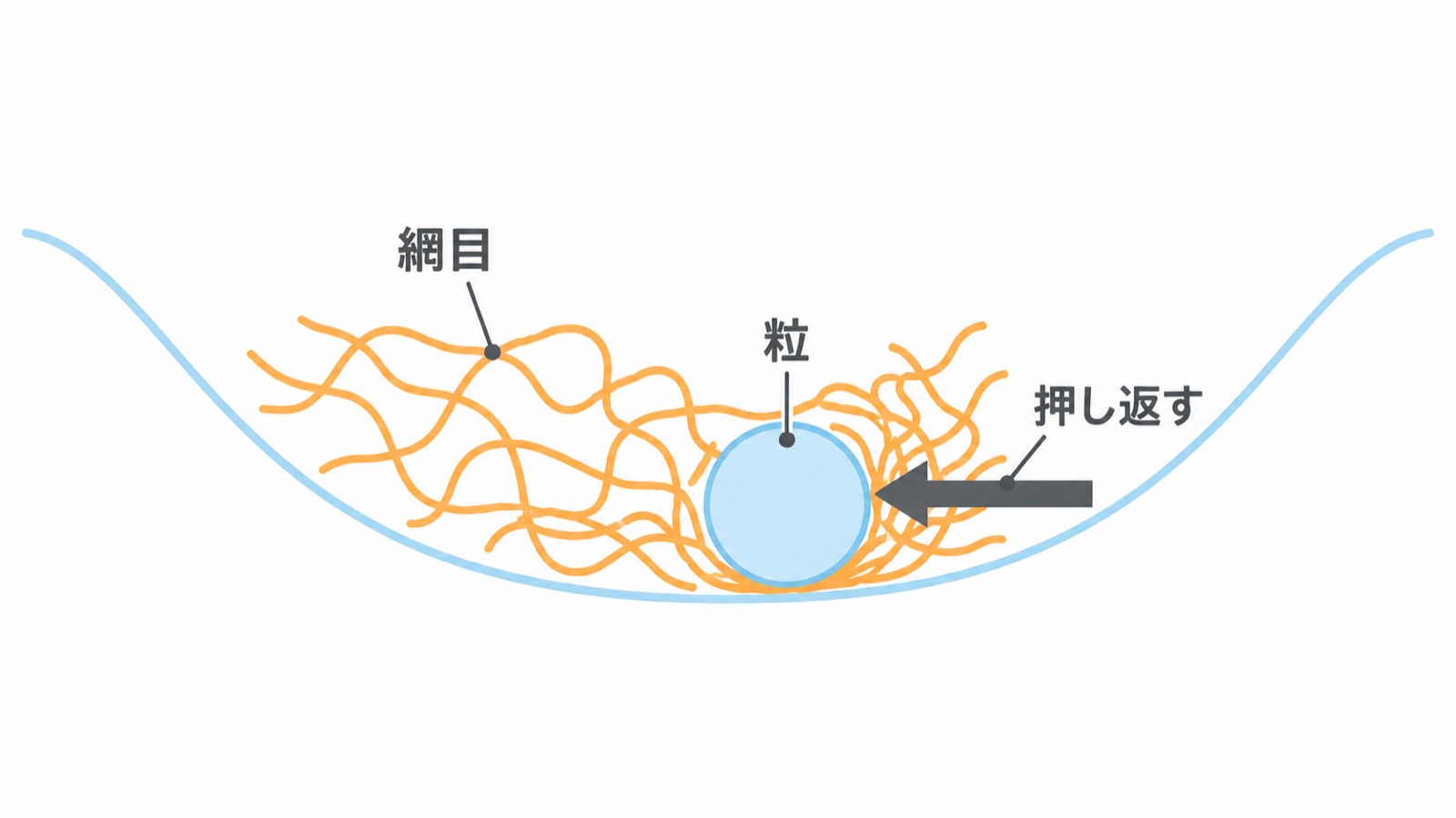 液体の中の網目と粒の関係を表したイメージ図で、大きさや形は正確ではありません。粒が動くと網目がゆがみ、そのゆがみが粒を押し返すことで、網目が粒の動きを「覚えて」いる様子を見られます。