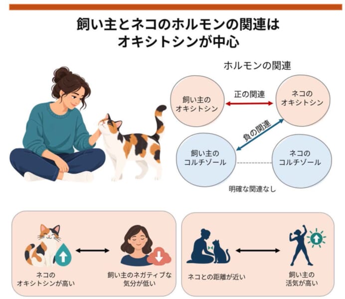 今回の研究で分かった、飼い主とネコのホルモンのつながりと、飼い主の気分との関係をまとめた図です。